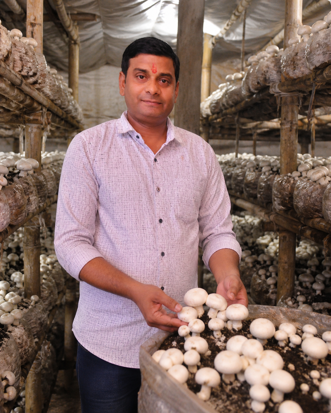 Mushroom Farm